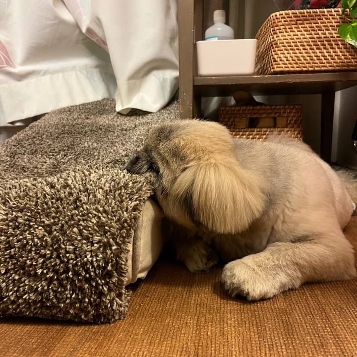 Db98bfdb 2d33 4b24 9aa5 9b0194d7c794 1769256857170