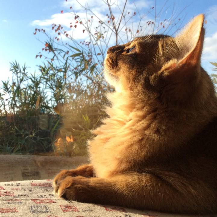 Db98cf8f e33e 4afa 830f d8d5f4461814 1575069178759