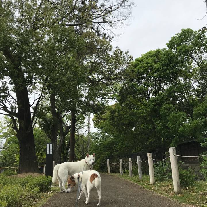 Db98fe48 eebd 4199 88c8 e8972acd07b1 1556498408778