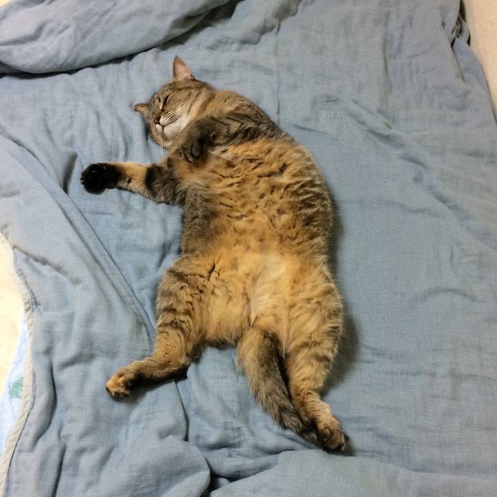 Db99093a 9702 4093 b2f8 e1b1ff2014ee 1593089355483