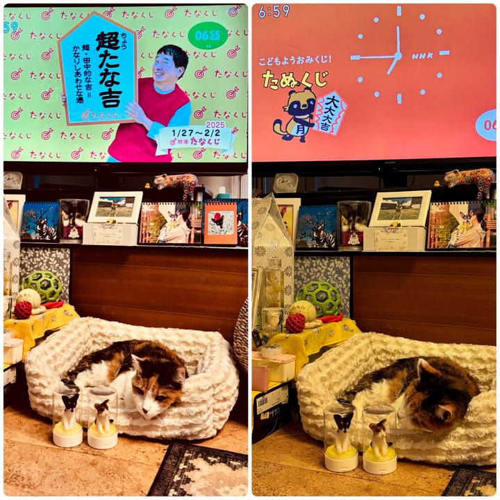 Db993838 1161 4652 8985 9184fcaef496 1737929385341