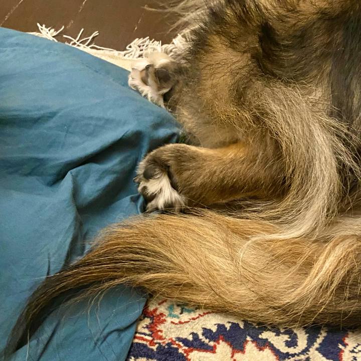 Db993b04 36a6 422d a227 d53b1d4d2878 1766732436963