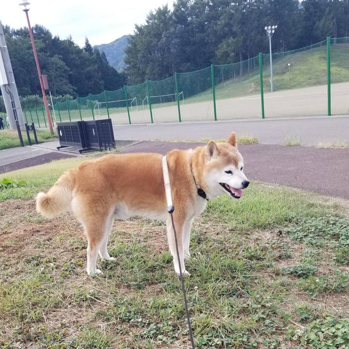 Db99476b d51f 4699 af55 20513bacf317 1695278843495