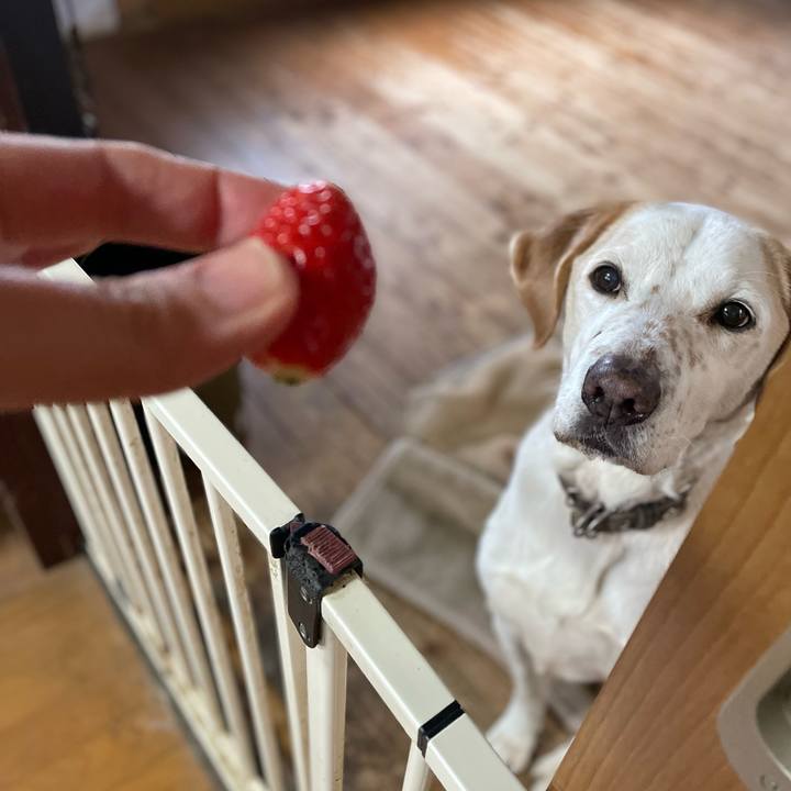 Db9948e3 99d0 4521 9026 ba39ecd122c2 1770441004806