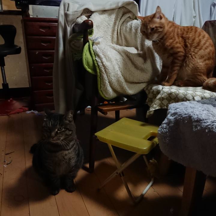 Db996bee 3205 4041 b0fc c1770182c017 1642674730039