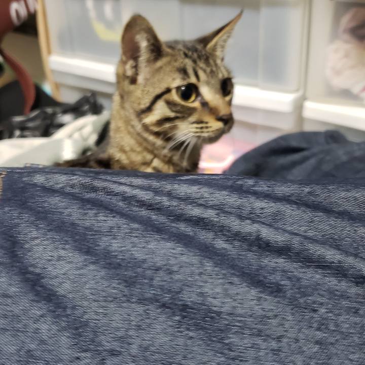 Db99b1f9 984c 449e a497 24ac1458b1da 1543967715038