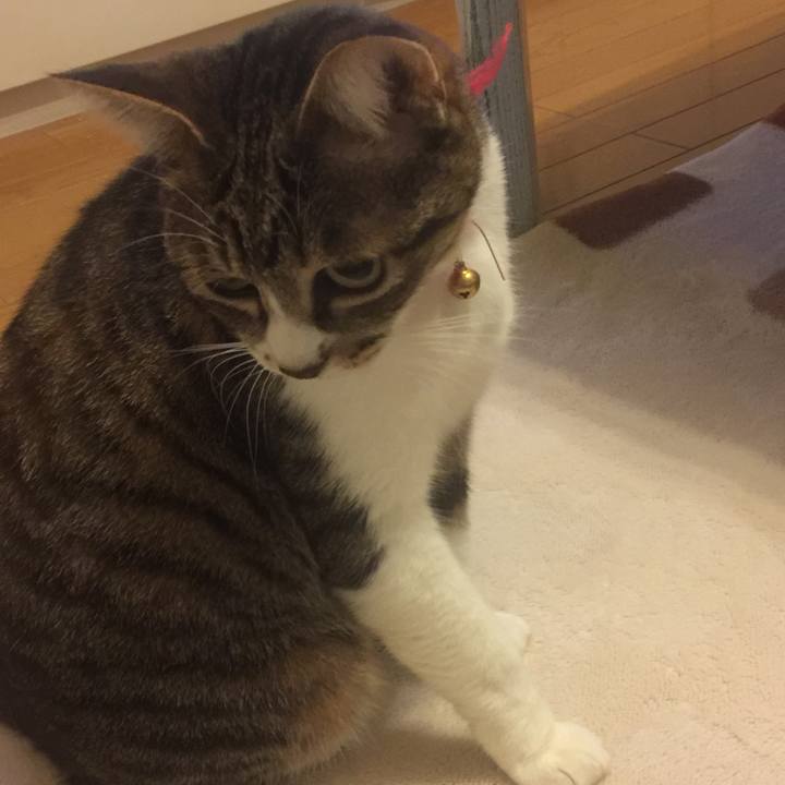 Db99d0c7 9f2b 455d a4de 13db19a51828 1553010302665