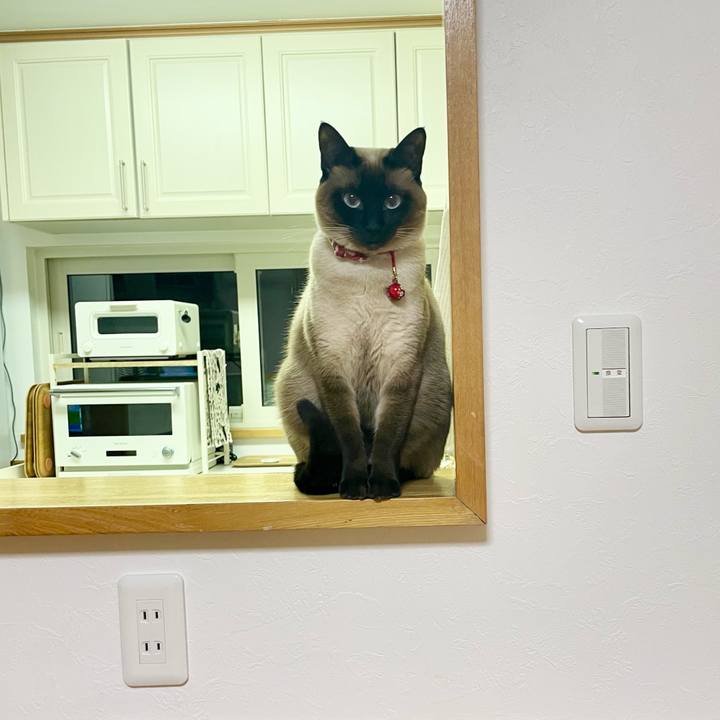 Db9a276d acea 4f89 8d70 a45ba58a32a4 1741553201378