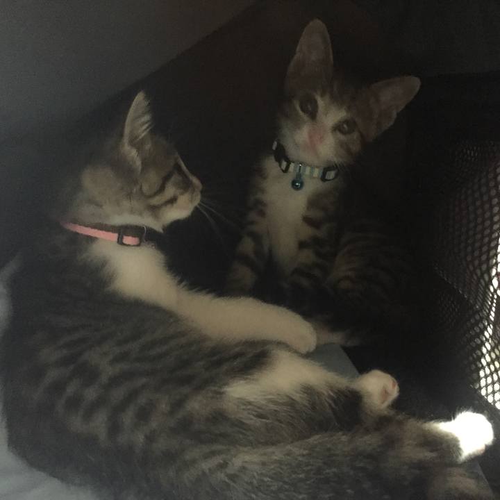 Db9a43ee 3278 4a76 9d71 6c8a8b005417 1654236260583