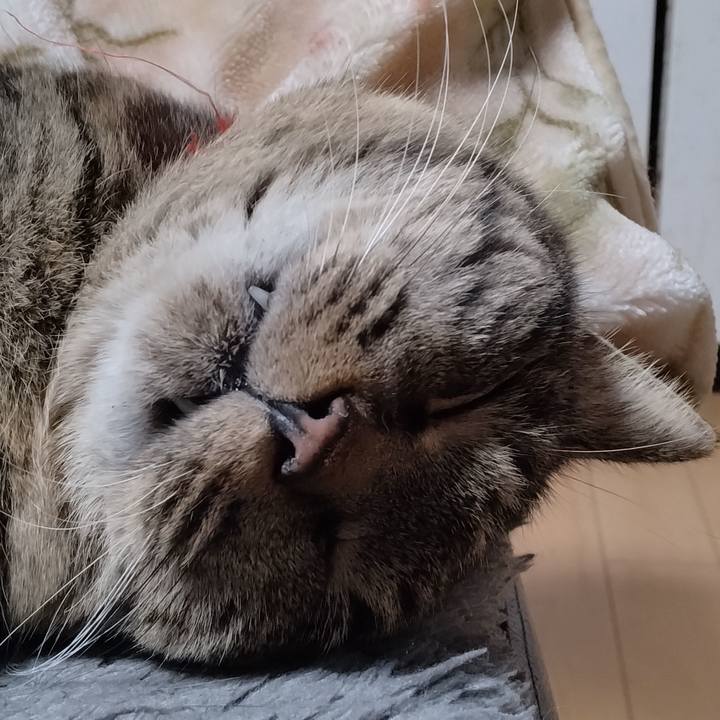 Db9a58a9 9401 4625 af8d a48ff9fc4609 1672397414988