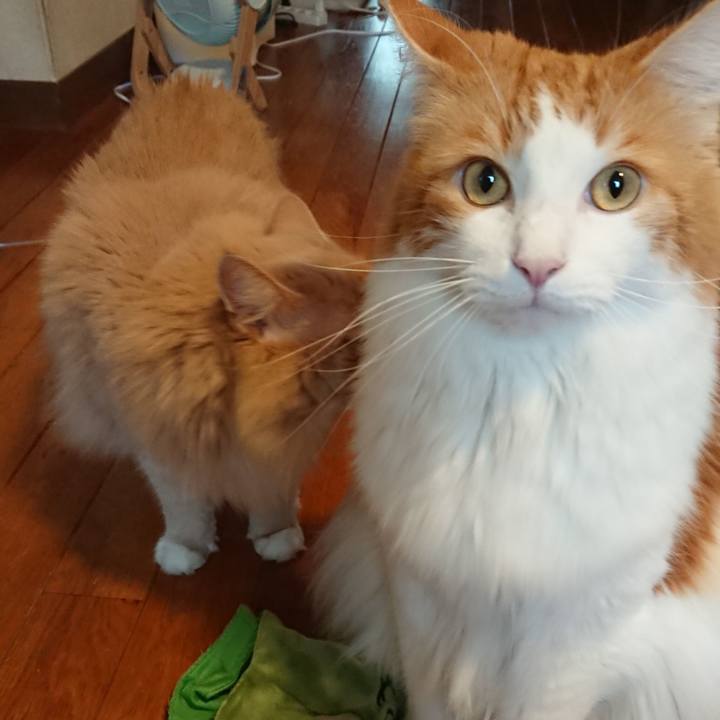 Db9a68ac 2425 4d4f b7d7 1cbe5f4828e6 1569652285416