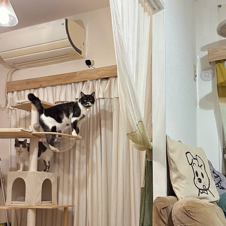 Db9a90bf 376a 46de 9376 6a8518a16dd1 1762522248338