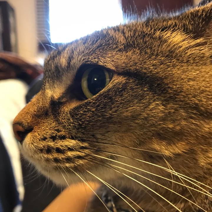 Db9a9dfe dd3a 4c6b 9420 d3ea86f7ef4c 1528009171398