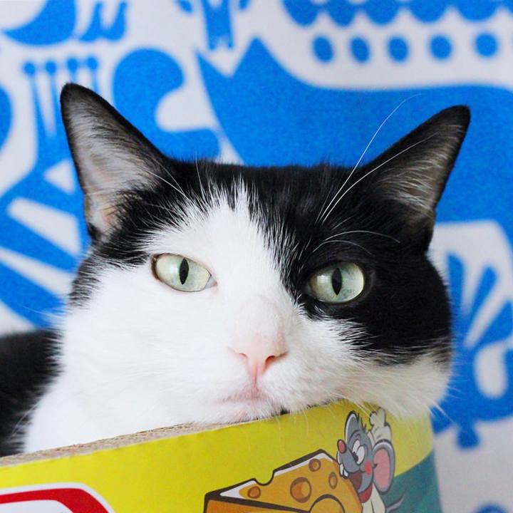 Db9aa1df 1ceb 41e0 87a6 aecd80f038ef 1592519356597