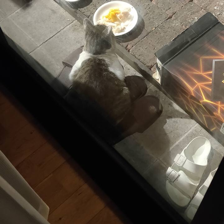 Db9aa437 f8a9 46bb be3e 621f03d8d129 1667745186367