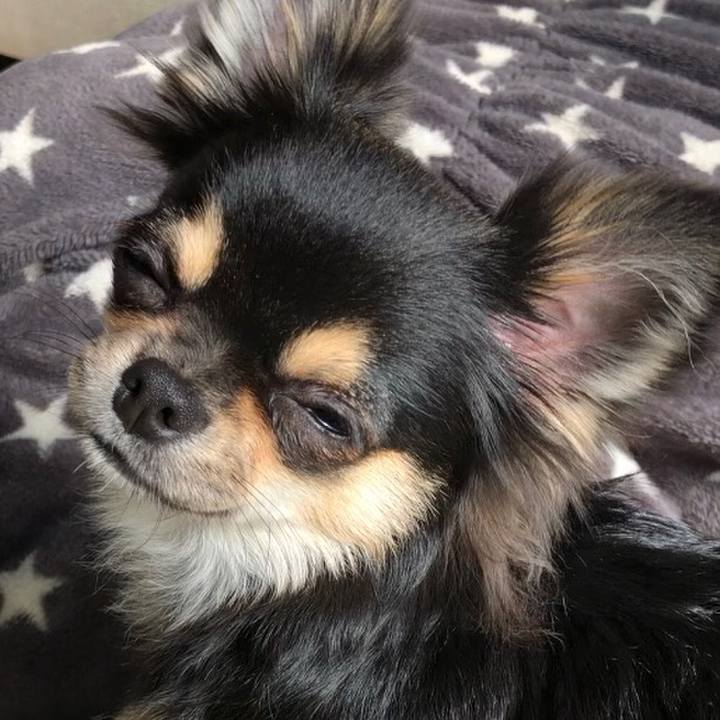 Db9ade0f f575 4e79 a474 c573604440f9 1546728162319