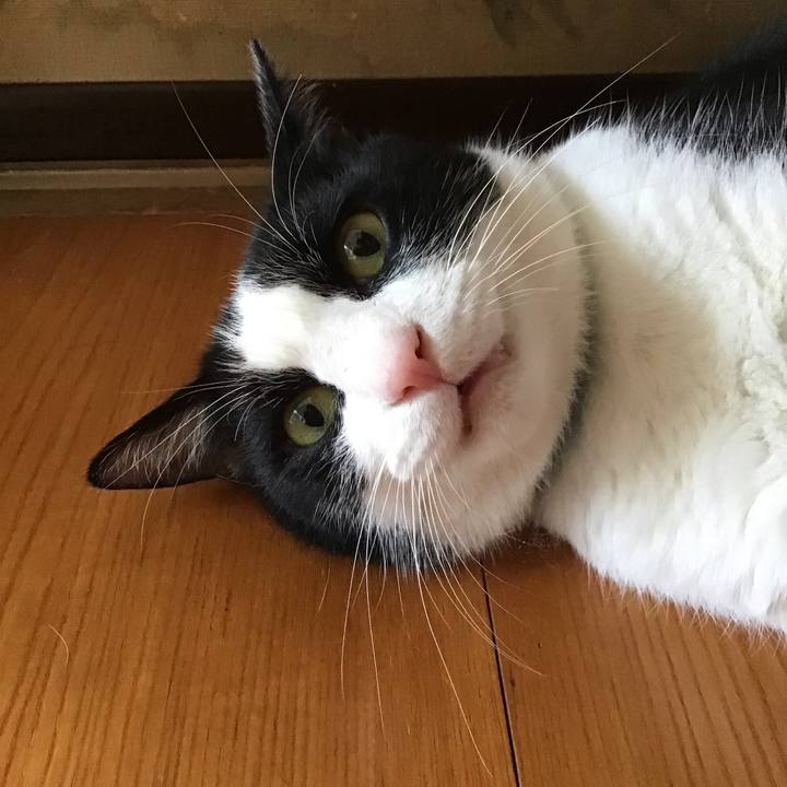 Db9b0059 a5cc 4dc5 9df4 2e6664d4cf3a 1751982666809