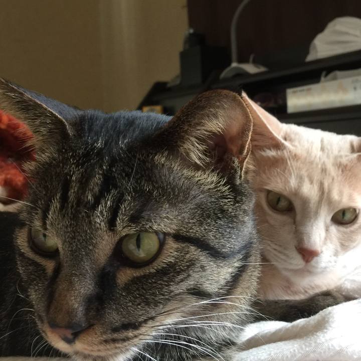 Db9b097f 4abf 42f4 9d51 bf882e3ba68a 1522970421499