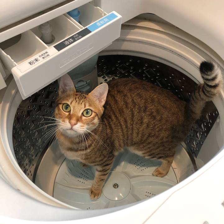 Db9b1791 cf4f 4df2 92d6 5ab32a8ca3eb 1572307661371