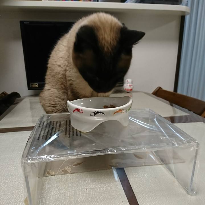 Db9b46dd 1275 4fce a1f8 180d2c76e822 1521456136109