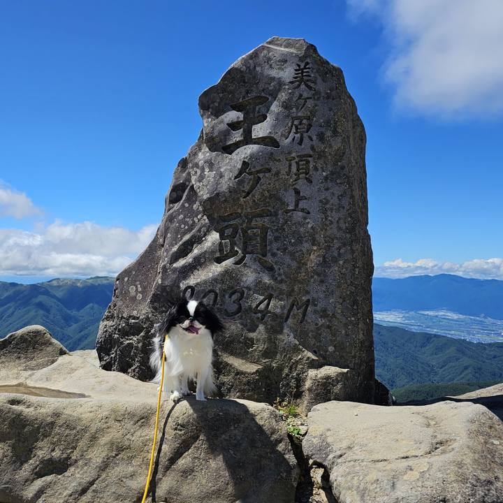 Db9b4c57 699f 4718 817a fa95d76e4711 1692964226872