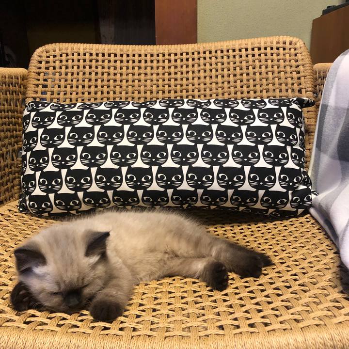 Db9b5912 2688 4364 8830 bbccc7518996 1585355277868