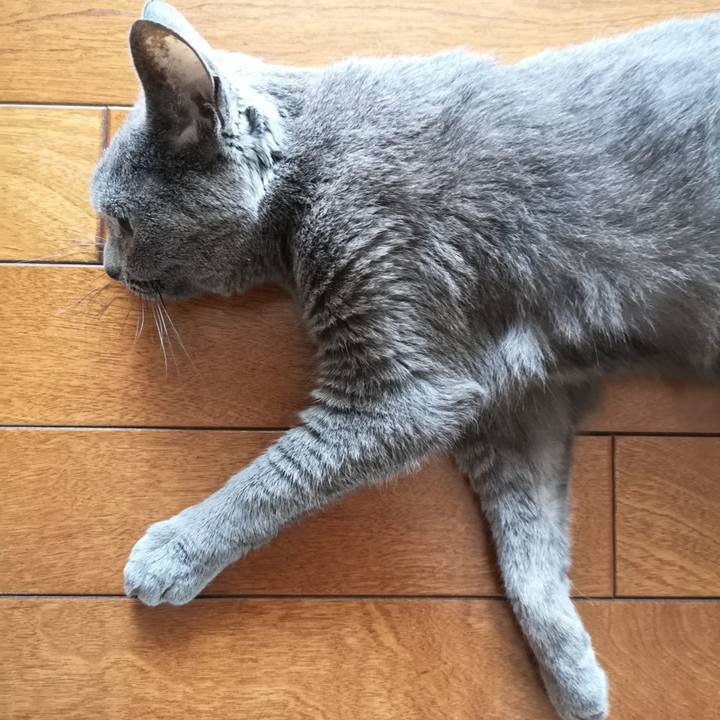 Db9b7156 1509 4e3a bee8 b39f0d9e3e98 1628985340291