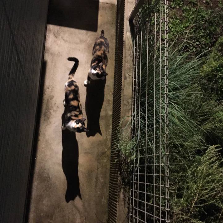 Db9b81a6 d460 41a2 9c70 eeb1848ad2ed 1508501585208