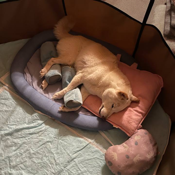 Db9b92d4 ba5c 45a4 9704 9e6c3d03824c 1654614404090