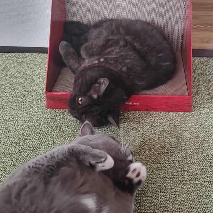 Db9b9620 1c3a 4300 9e40 faab0679b05b 1627351531978