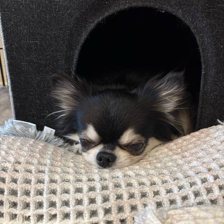 Db9bb977 7ed5 4532 bbd4 0baa513a0730 1765647409125