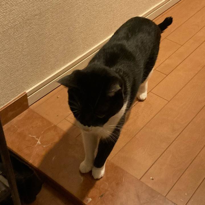 Db9bbf08 e18f 4009 b783 a03c78fa1e76 1682250306099