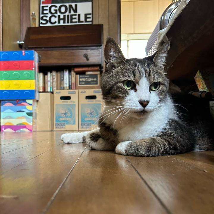 Db9c0d3e 24a5 463e a4a1 e3ff180b0fe4 1754526018647