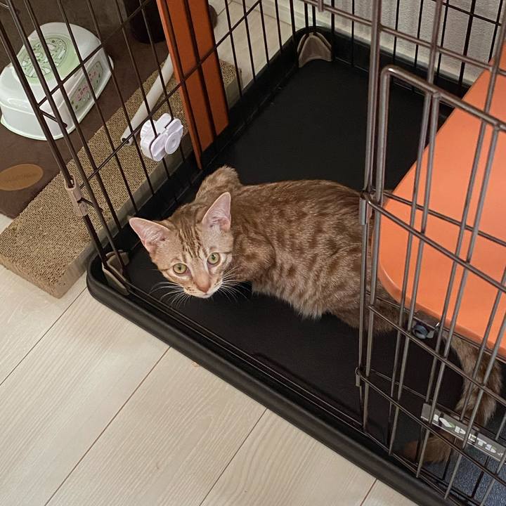 Db9c21b3 de89 4756 8869 85a00fb57823 1600655406159