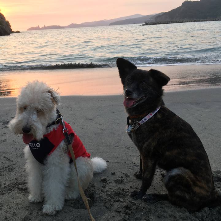 Db9c24dd fcd7 482d a554 cc4e7071a722 1532822616338