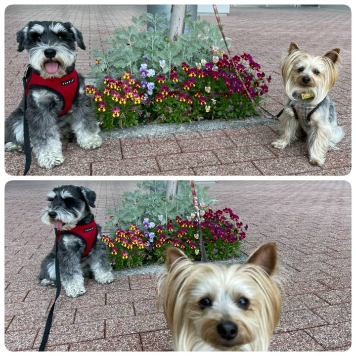 Db9c341e 399d 4940 9462 28dafd1d1608 1651733054960