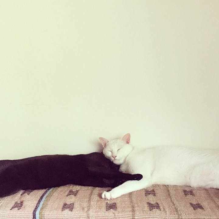 Db9c5256 3f73 426b 97ee 7d248e6e447d 1530578293431