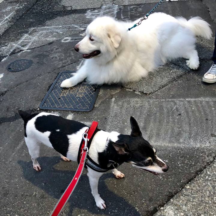 Db9c5c81 9059 43a1 8d11 5e5652bb2e63 1564229085702