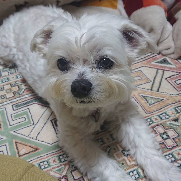 Db9c675b 39fe 4077 93f1 70058c62005a 1647526718069