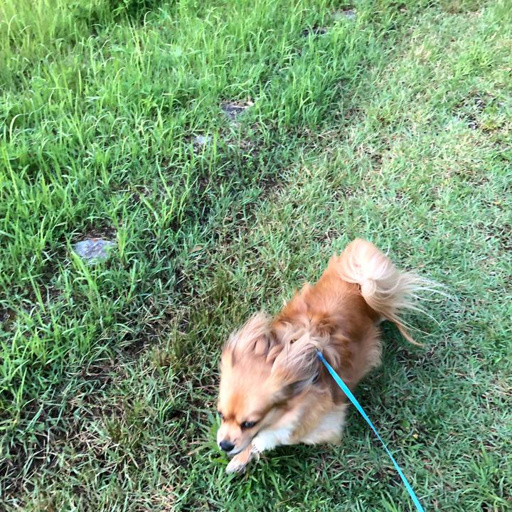 Db9c8bde 05b8 40ea 86c4 8f53e7c6f30c 1560893706222