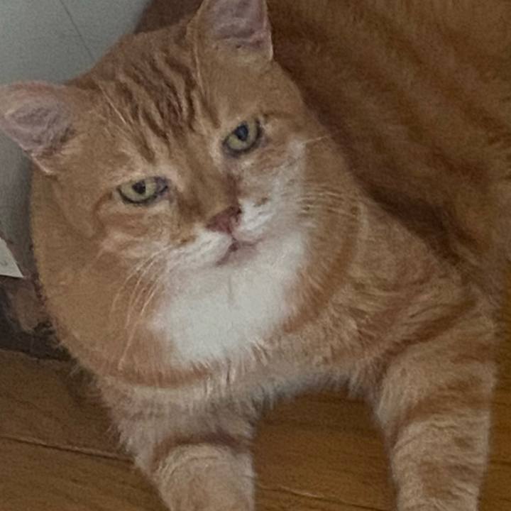 Db9c8e44 2bb3 4abd a69e 5a6d14960e8d 1720069824463