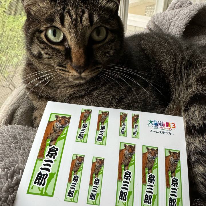 Db9ca54e 0c54 45fa 9d47 71c305b182e5 1720858736359