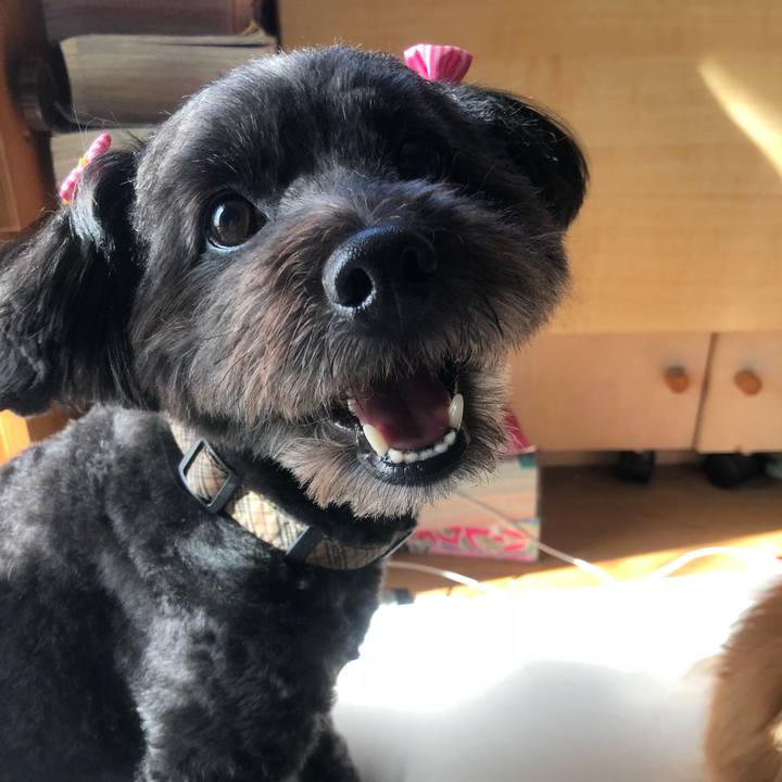 Db9d1b60 7c68 4c27 9816 abde4c301d03 1537227167620