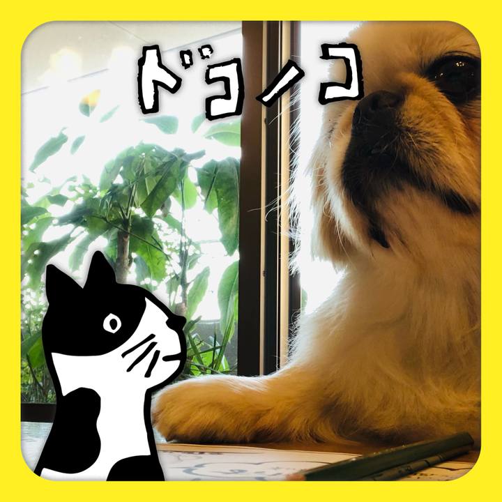 Db9d5d36 2cd4 4dae 8f81 88fc38bc8685 1623549570898