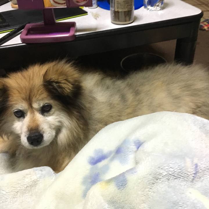 Db9d6b92 9c78 4932 8181 55f4c7b61268 1549362464739