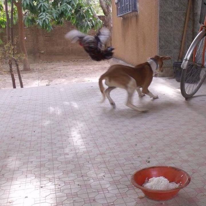 Db9d915b ab23 43ac b78e 136a839c232e 1549205426907