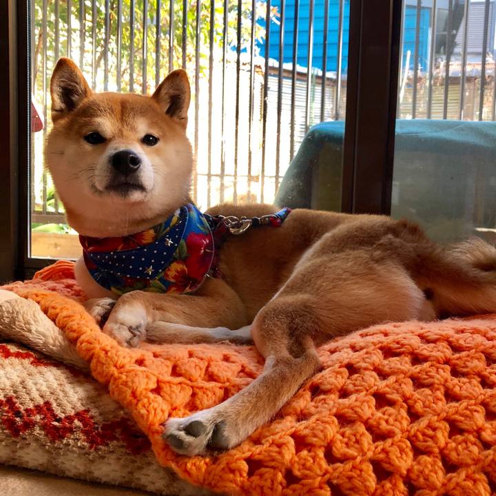 Db9d9d48 399e 46dd ba5c 95dd35190bdf 1519474564308