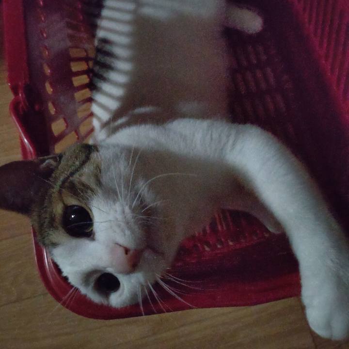 Db9db59b 4d21 4317 a8cf e47baf18a147 1690202558182