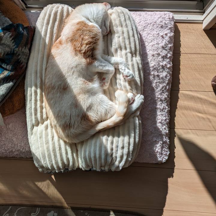 Db9dba96 cd3c 495d a4cd e4dee353fd3a 1698629998592