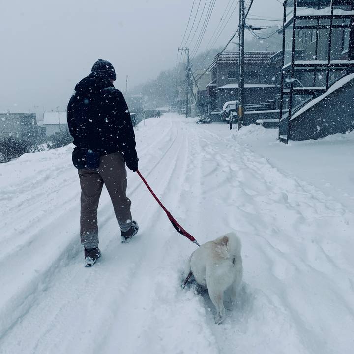 Db9dcf75 854e 4edc 8c03 afaa1a9d0ae1 1669852446877